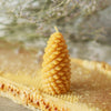 Pure Beeswax Spruce Cone Candles