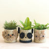 Panda 6" Seagrass Basket Planter