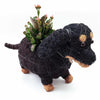 Dachshund Dog Planter