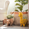 Elephant Planter