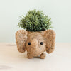 Elephant Planter