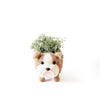 English Bulldog Planter