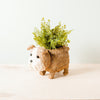 English Bulldog Planter