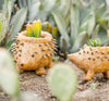 Hedgehog Planter