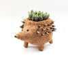 Hedgehog Planter