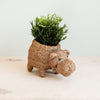 Hippo Planter