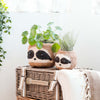 Large Three-Tone Sloth Planter