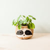 Large Three-Tone Sloth Planter