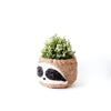 Large Three-Tone Sloth Planter