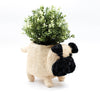 Pug Planter