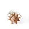 Triceratops Planter