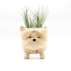 Westie Planter - Coco Coir Pots