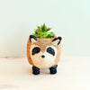 Raccoon Planter