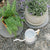 Plant Saucer - 1 Small & 1 Large Saucer For Instant Drying