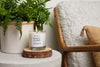 Sandalwood and Pine Needle Scented Candle