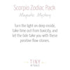 Scorpio Bracelet Set