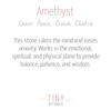 Amethyst Energy Anklet