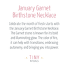 January Garnet Birthstone Necklace