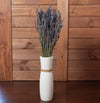 French Lavender Bundle