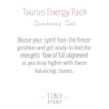 Taurus Bracelet Set