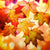 Autumn Leaves Perfume