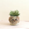 Dog 6" Seagrass Basket Planter