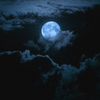 Midnight For Men Scent