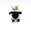 Baby Sheep Planter