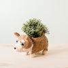 Corgi Succulent Pot