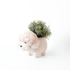 Poodle Planter