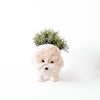 Poodle Planter