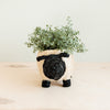 Sheep Planter