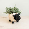 Sheep Planter