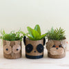 Owl 6" Seagrass Basket Planter